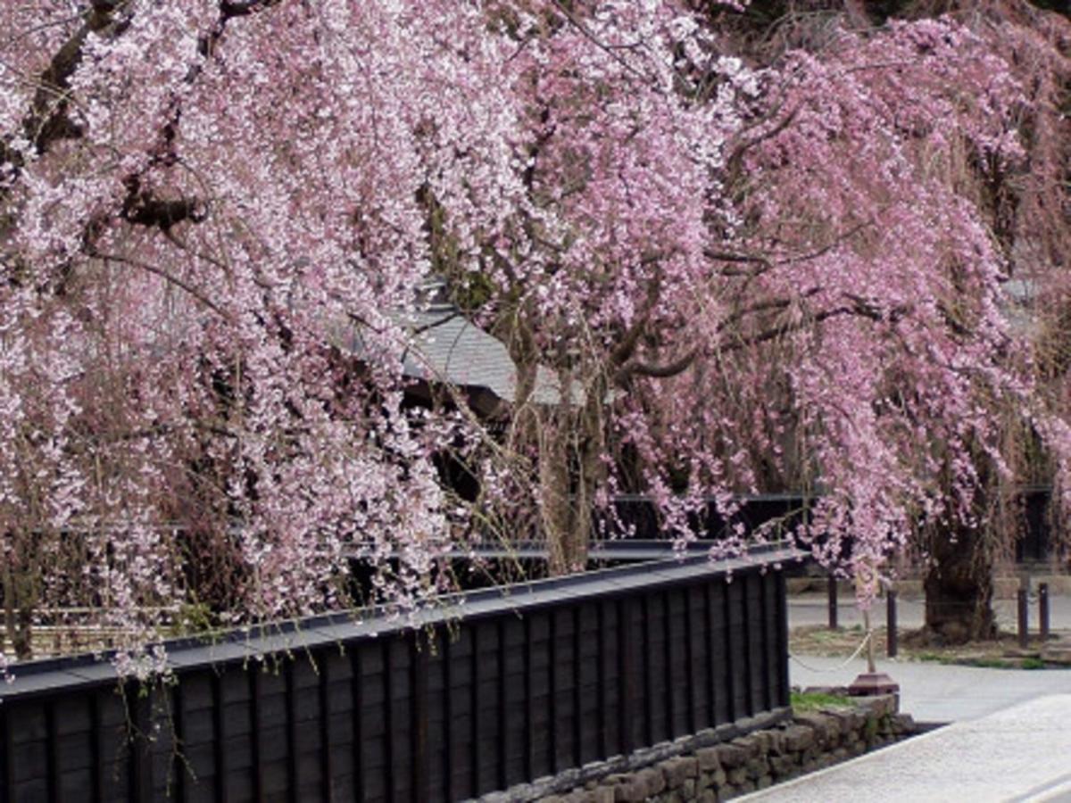 Tamachi Bukeyashiki Hotel - Vacation Stay 20163V 大仙市 外观 照片
